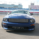 Illustration for article titled 2010 Shelby Mustang GT/SR